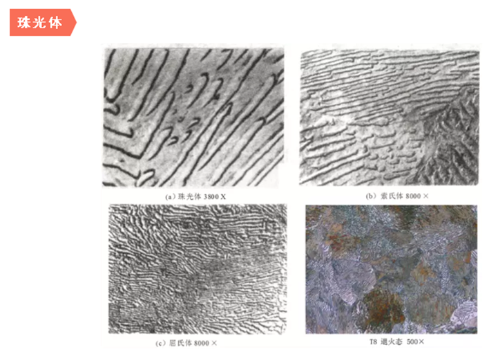 QQ截圖20200415095941.png QQ截圖20200415095941.png